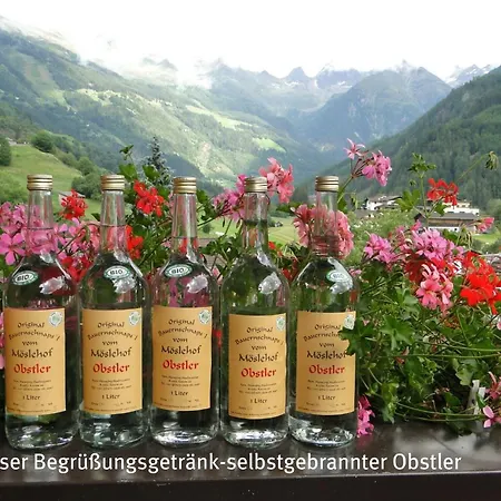 Apartment Gaestehaus Annemarie *